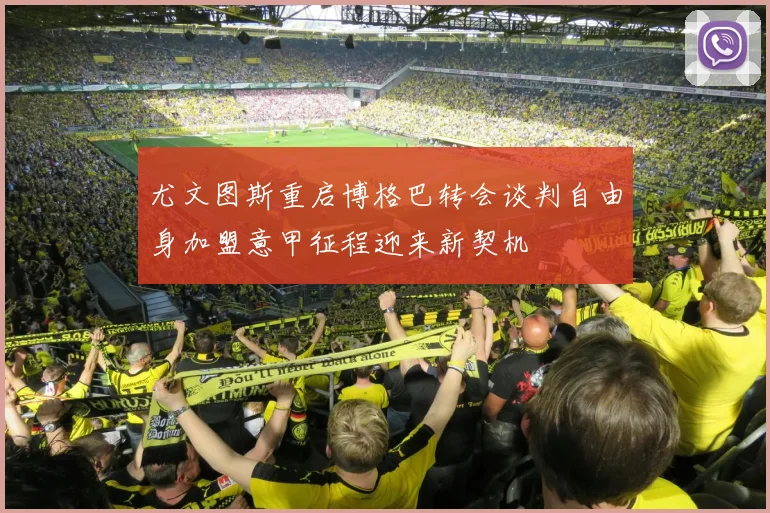 尤文图斯重启博格巴转会谈判自由身加盟意甲征程迎来新契机
